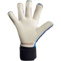 041753_04_puma_future_z_grip_2_sgc_gk_gloves_faster_forward_03-500x500.jpg